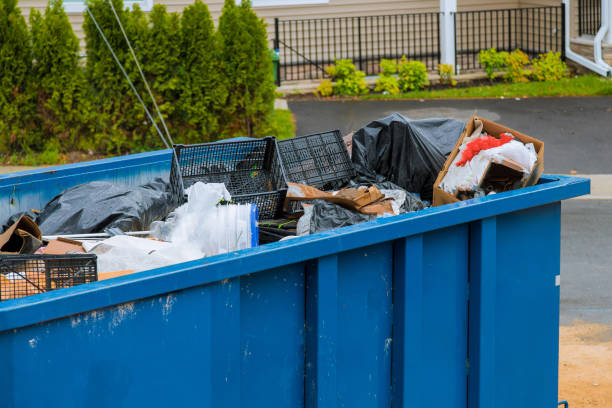 Best Dumpster Rental Services  in Williston, FL