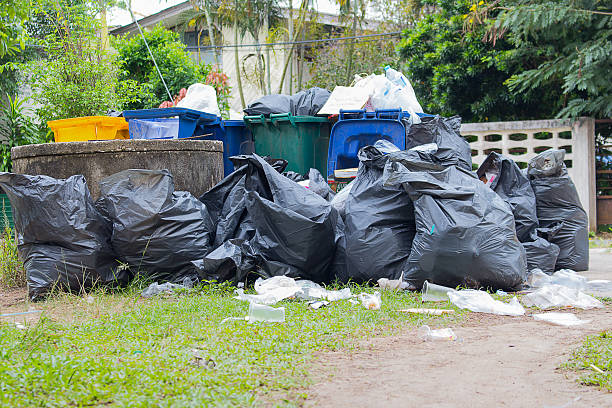 Best Yard Waste Removal  in Williston, FL